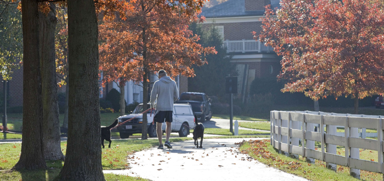 Man walking his dogs on a New Albany trail next to white fence